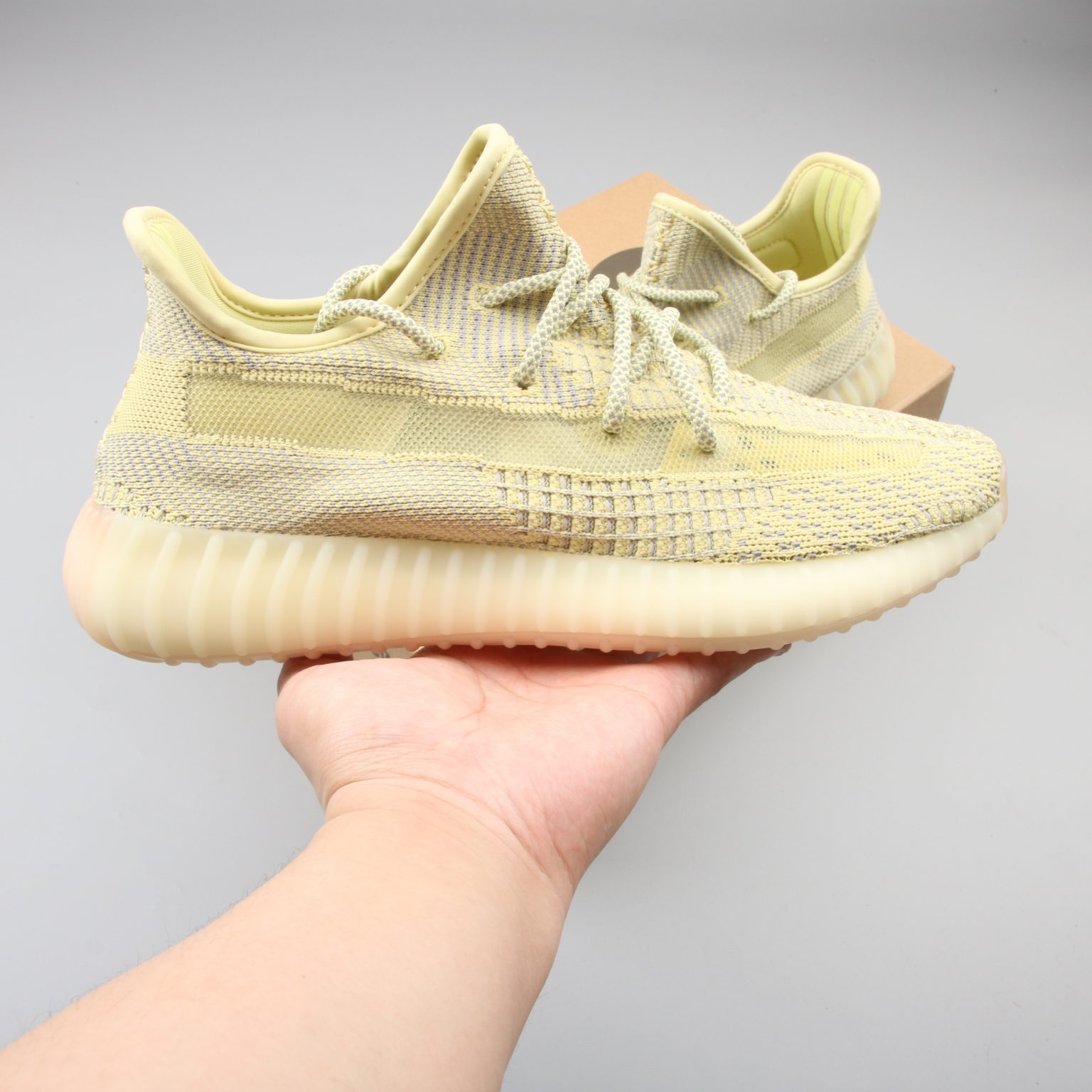 antlia yeezy