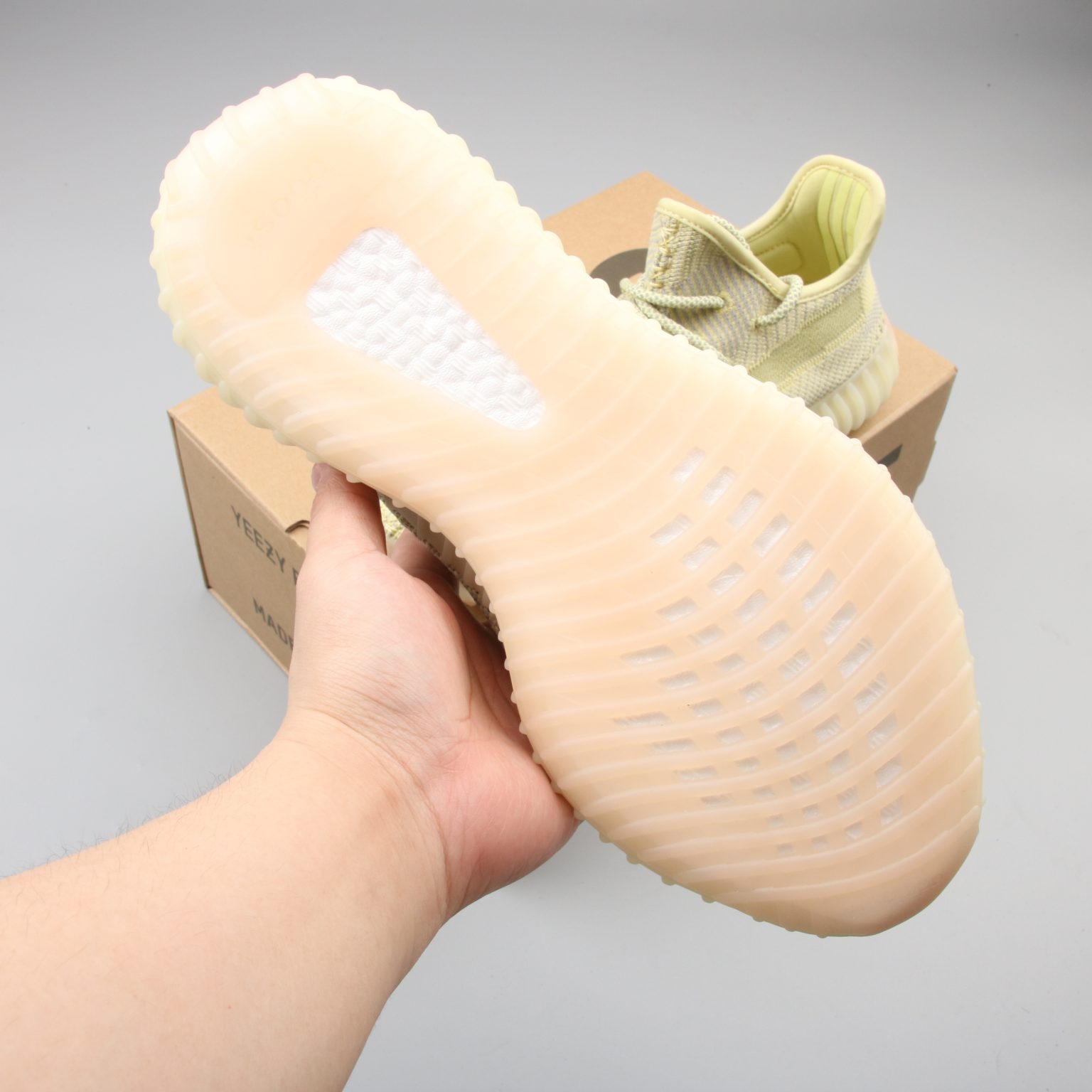 yeezy boost antlia
